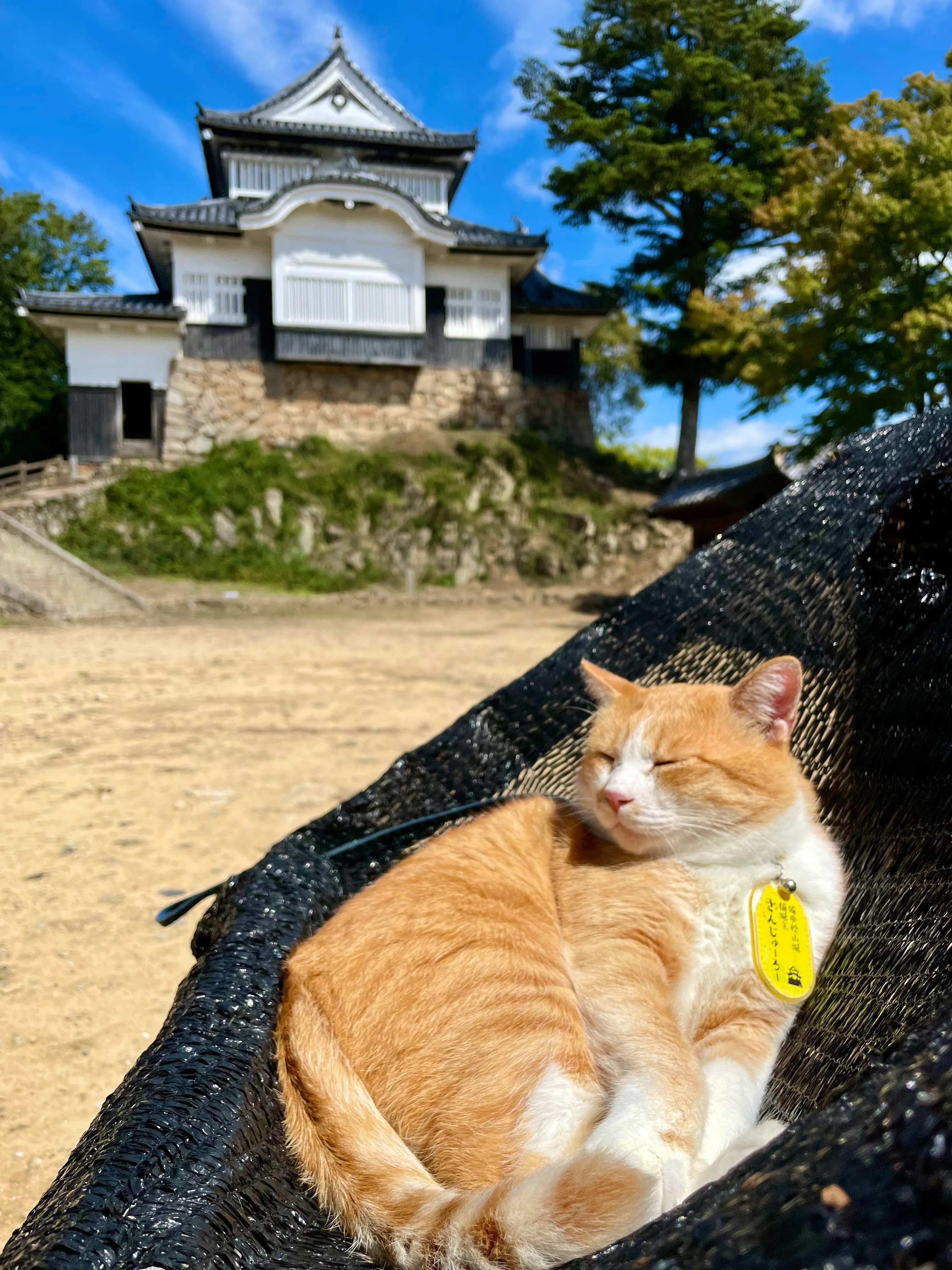 🏯 빗추 마쓰야마 성(빗추 마쓰야마조) 이미지 5